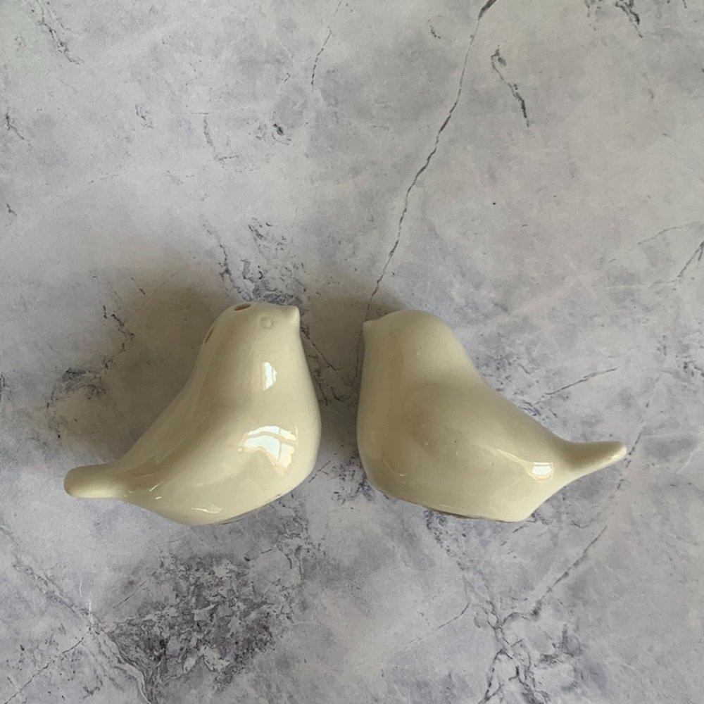 ❣️Love Birds Salt & Pepper Shakers❣️